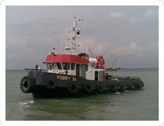 tbrobby34